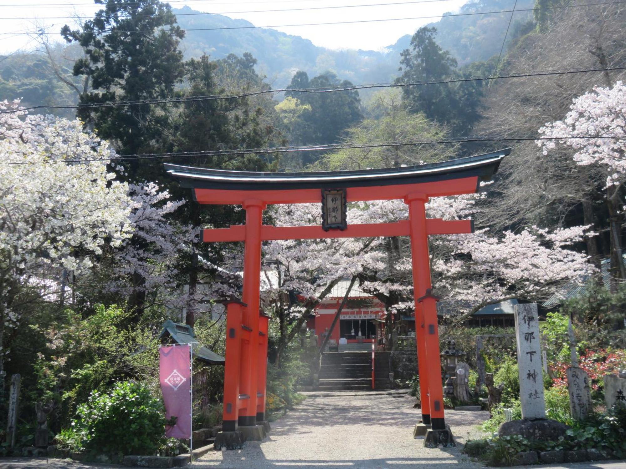 西伊豆松崎温泉　旅館　御宿 しんしま 松崎町 エクステリア 写真