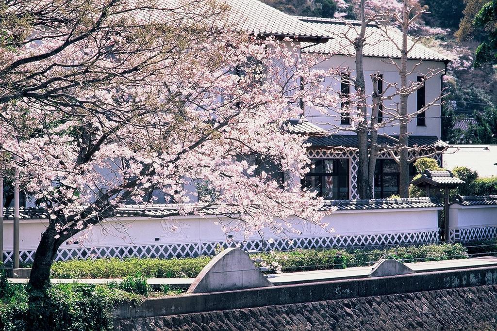 西伊豆松崎温泉　旅館　御宿 しんしま 松崎町 エクステリア 写真